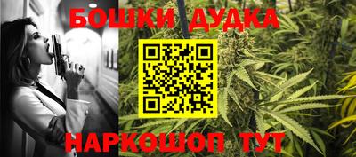 индика Партизанск
