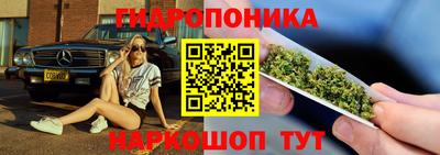 PSILOCYBIN Пенза